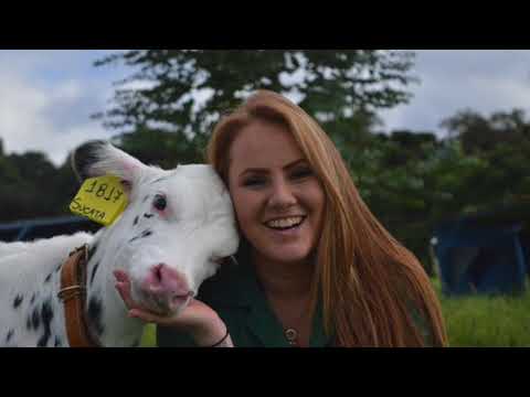 Medicina Veterinária PUCPR