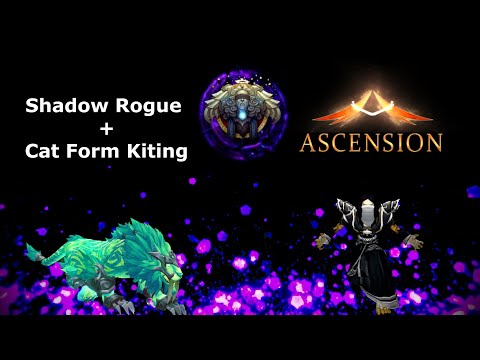 Shadow Rogue with Cat Form - Project Ascension WoW PvP