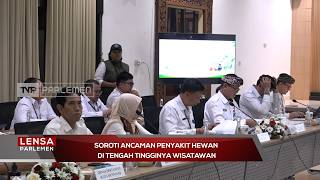 Soroti Ancaman Penyakit Hewan di Tengah Tingginya Wisatawan - Lensa Parlemen