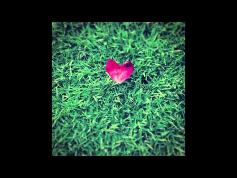 Tábanos - Salto y Vuelo🌴