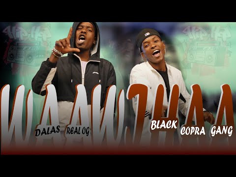 DALAS REAL OG FT BLACK COPRA GANG || WAAWIHA OFFICIAL MUSIC VIDEO