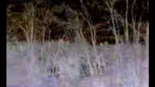 the tellers - toodoo