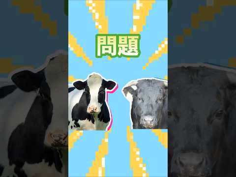 ショート動画作ります イメージ1