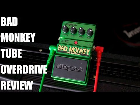 BAD MONKEY TUBE OVERDRIVE PEDAL REVIEW