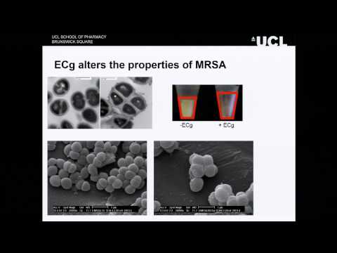 Antibiotics: ever diminishing returns (3 Dec 2013)