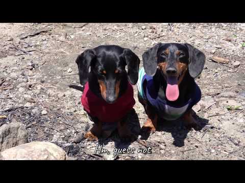 Ep 5. Deleted Scene - Collecting Firewood