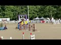 Hongre 12 ans - CSO Amateur 1