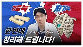 코수술 기증늑이냐 자가늑이냐, 5분안에 정리해드립니다!