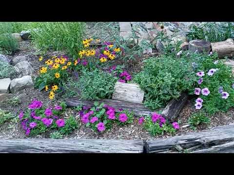 Episode 3-20 Eunice's Garden