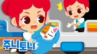 [Eng sub] 동물 활동가 | 위험에 빠진 동물 구출하기! | 아픈 동물을 도와주고 구조해요~ | 동물보호 | 어린이 직업체험 | 직업동요 | 주니토니 by 키즈캐슬