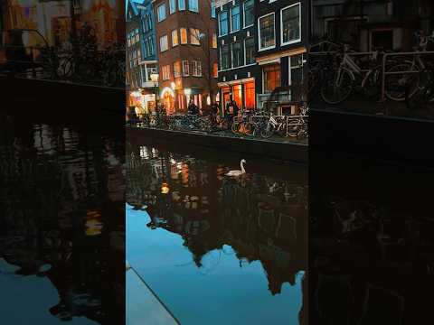 Red light district Amsterdam walk 🚶&zwj;♀️ Full version⬆️ #journey #explore #christmas #shorts