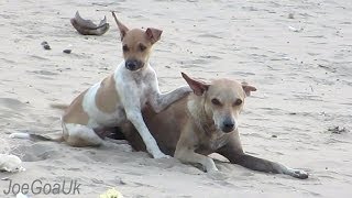 Mother Son on the beach 11 5 14