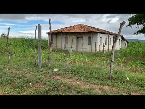 VEJA ESTE VÍDEO! Adustina, Sertão baiano.