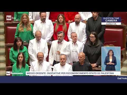Ricciardi (M5S):"Abbiamo portato in Aula i colori della Palestina, la sua bandiera."