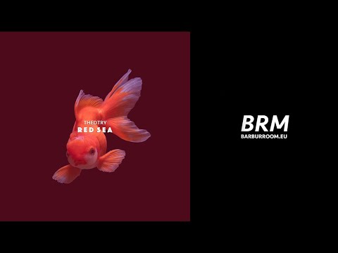 BRM PREMIERE: Thedtry - Red Sea (Original Mix) [Barbur Music]