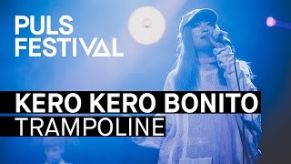 Kero Kero Bonito - Trampoline (live beim PULS Festival 2016)