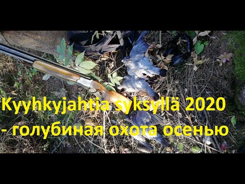 , title : 'Kyyhkysen metsästyksen parhaat palat syksyltä 2020 - лучшие моменты охоты на голубей осенью'