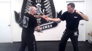 Scott Shields Martial Art Kali stick counters