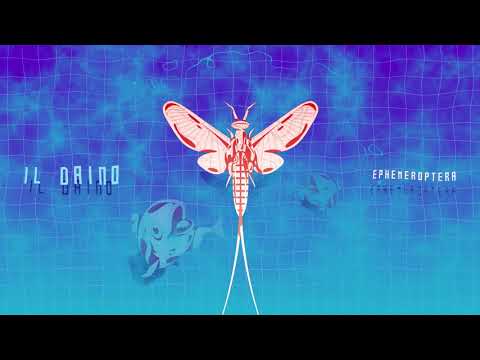 il Daino - Meglio il Nulla 07