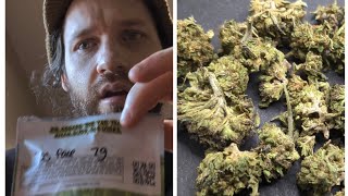 gas face thca small buds Greenhouse mediums hemp flower review! Gas, no more no less