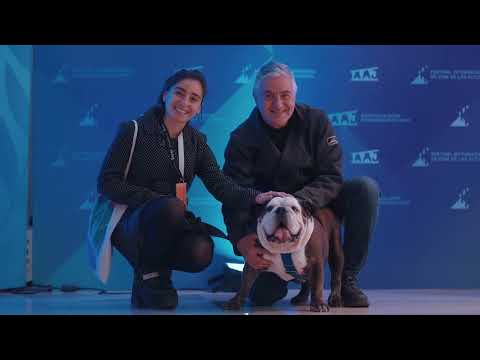 Films en Competencias Edición 2017 del Festival Internacional de Cine de las Alturas