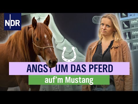 Verletzung, Krankenhaus - ist das das Aus von Connys Mustang? | Folge 8 | NDR auf'm Land
