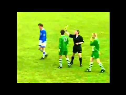 Bornerbroek - Dolphia