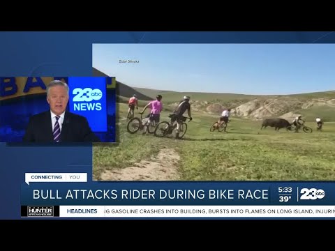Bull strikes 4 bicyclists during Rock Cobbler Race near Bakersfield