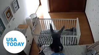 Baby genius moves crib around from inside before e