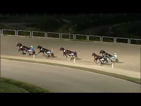 Napoli Trotto 17/06/2023 - 3ª prova di qualifica