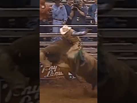 Terry Don West Vs Zandy 1995 #rodeo #rodeio #shorts #touros #bullriding #bullrider #montaria