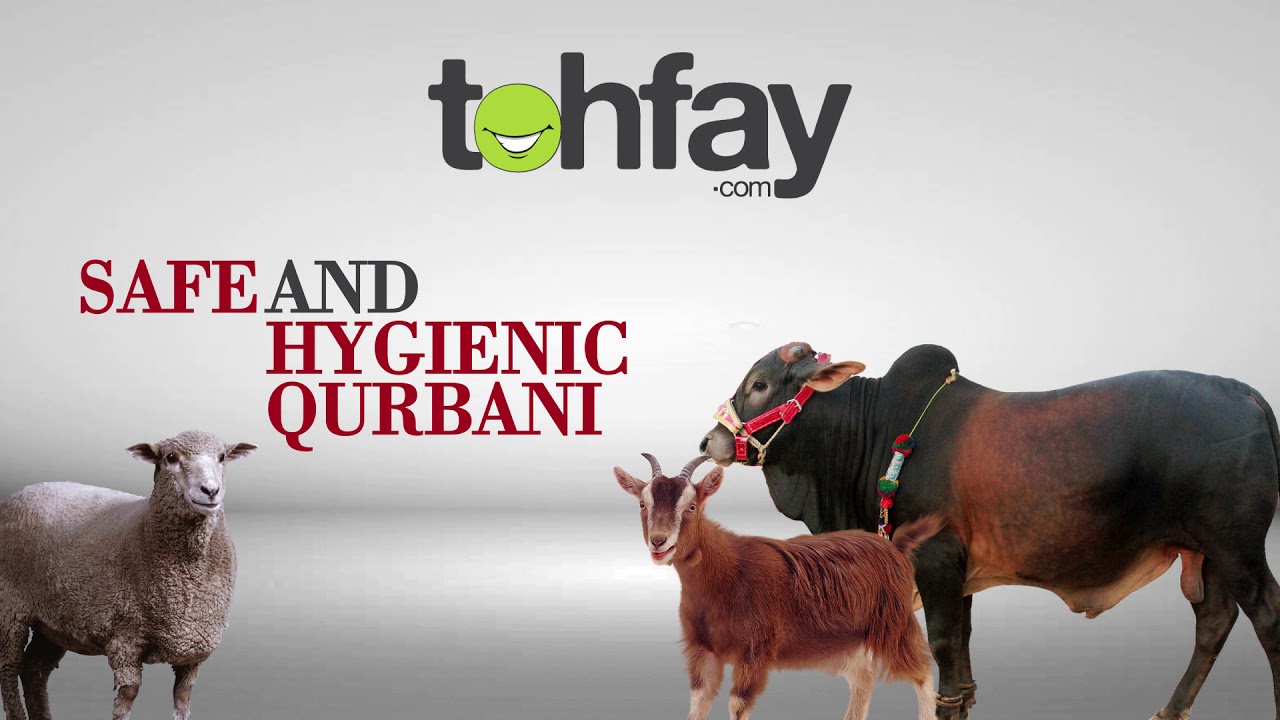 Qurbani Meat Delivery At Home From Tohfay.com