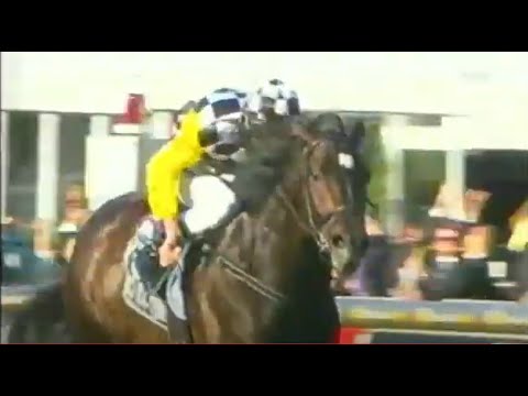 2010/2011 Season (4/9) Caulfield Guineas Day - Cox Plate