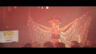 3082019 WILDCAROUSEL FRIDAY