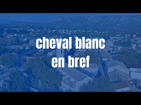 Video vignette