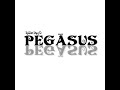 Pegasus pp 6750 user manual