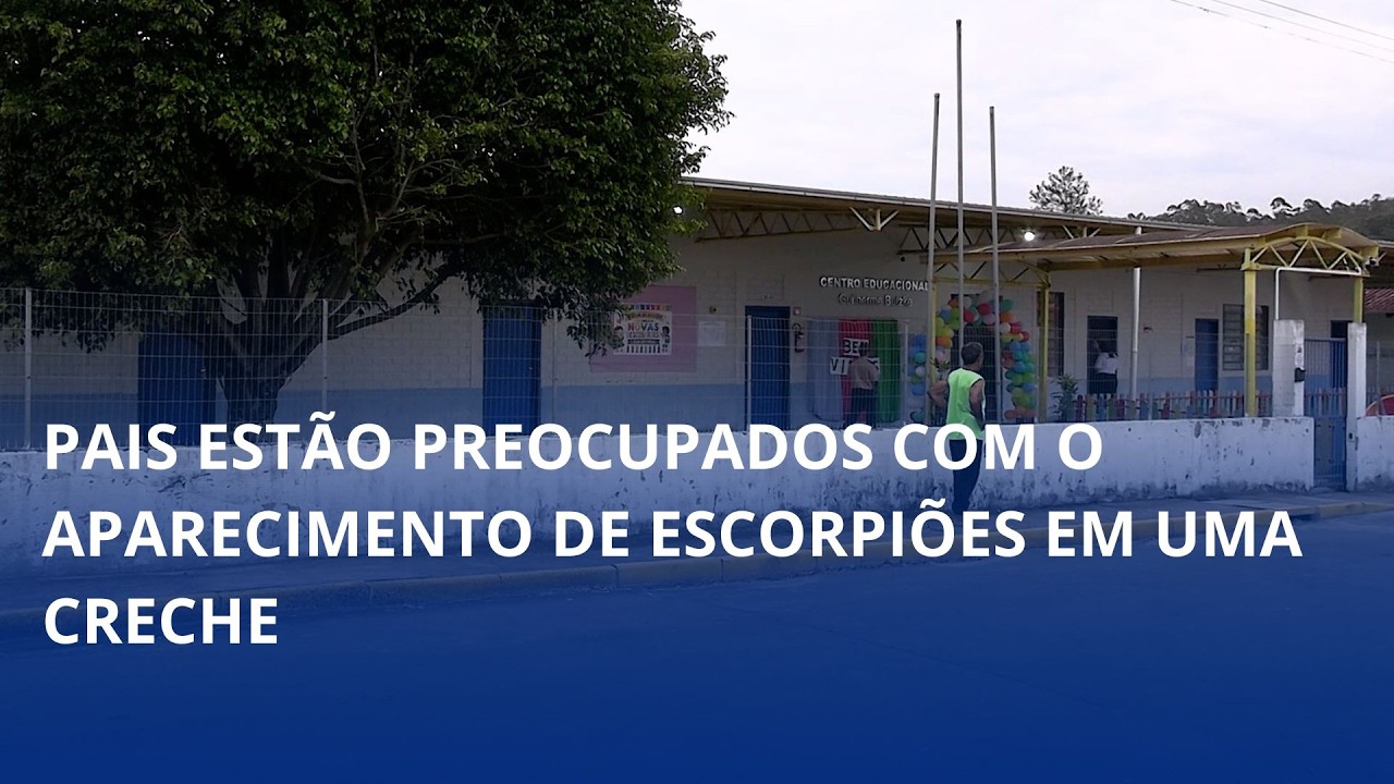 Pais estão preocupados com o aparecimento de escorpiões em uma creche