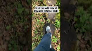 Step the walk-way at Japan national park