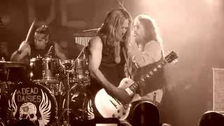 THE DEAD DAISIES - Make Some Noise (Live in Belfast)