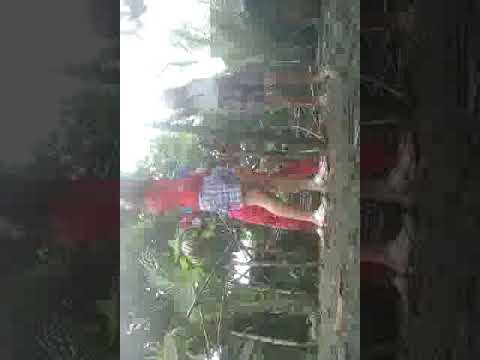 Baam June girls momoland dance cover