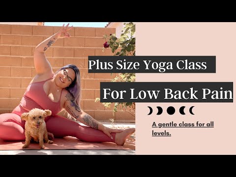 PLUS SIZE YOGA FOR LOWER BACK PAIN ✨ GENTLE CLASS FOR ALL LEVELS!