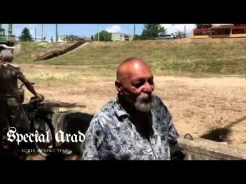 O fetiță de 12 ani din Arad a căzut în râul Mureș. A fost salvată de un polițist