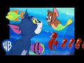Tom y Jerry en Latino | Aventuras submarinas 🦈 | WB Kids