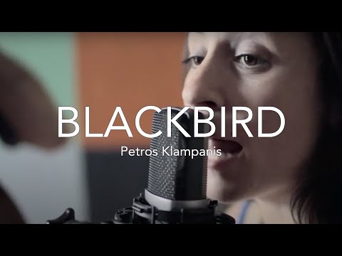 BLACKBIRD | Petros Klampanis, Sofia Ribeiro & Marcelo Woloski