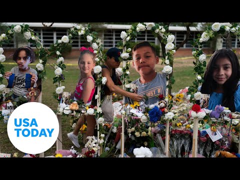 Experts say 'glaring' loopholes exist in gun purchase policies USA TODAY