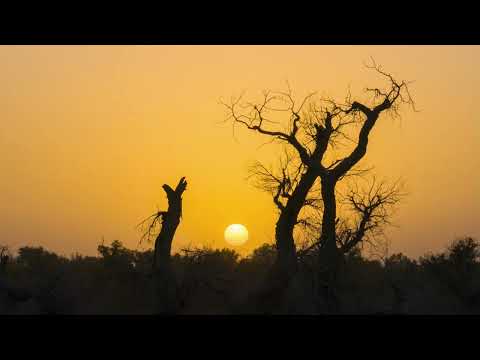 Uyghur Song - Tagh Meshrep