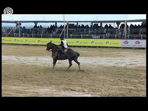 FICCC de Esteio (RS) – 1° lugar machos – Colibri Matrero (Prova: Bayard/Sarmento)