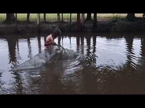 Fishing scene with Chinese nets- village fishing
