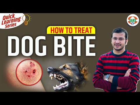 How to Treat Dog Bite? | Quick Learning Series by Siddharth Sir | DAMS Nursing