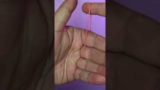 Download lagu EASY Rubber-Band Magic Trick Revealed! #shorts mp3 Download lagu EASY Rubber-Band Magic Trick Revealed! #shorts mp3